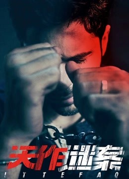 天作谜案封面图