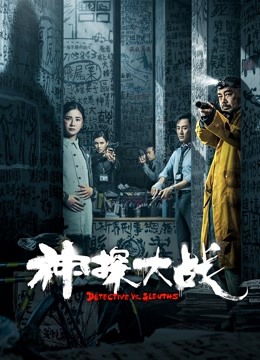 神探大战粤语封面图
