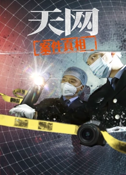 天网:案件真相封面图