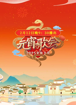 2025安徽元宵晚会封面图