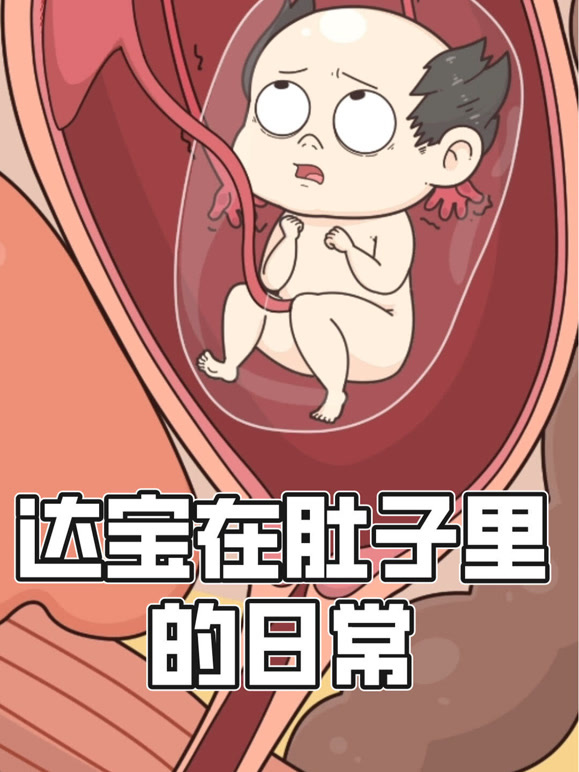 达宝在肚子里的日常  动态漫画封面图