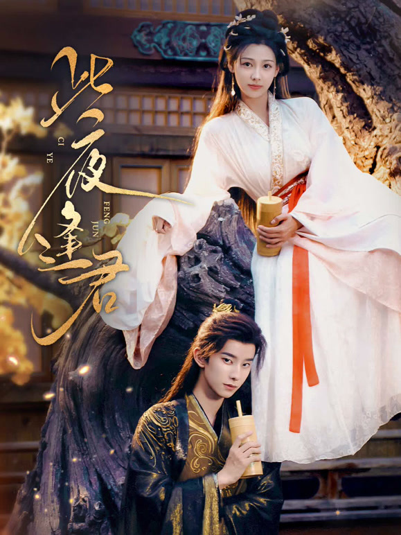 此夜逢君封面图