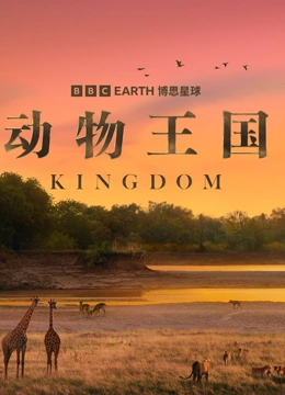 动物王国 配音版封面图