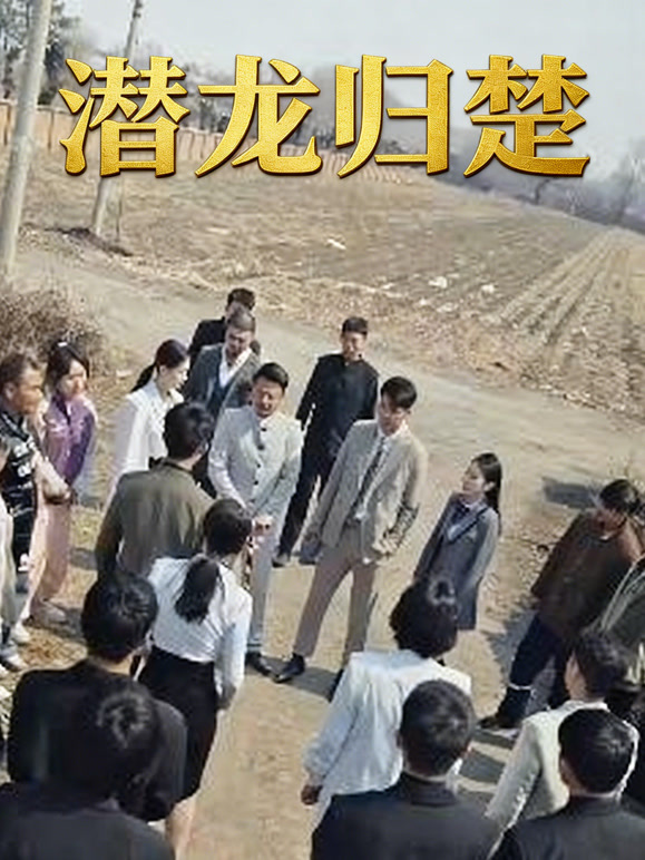 潜龙归楚封面图