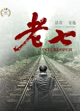 老七封面图