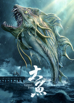大鱼封面图