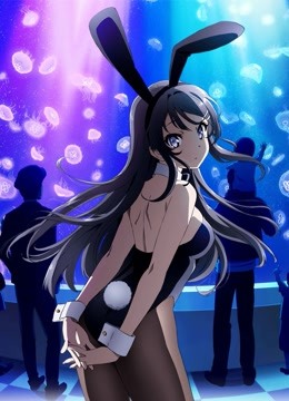 青春猪头少年不会梦到兔女郎学姐封面图