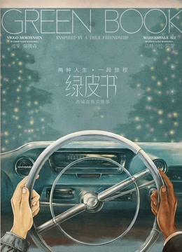 绿皮书封面图