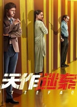 天作谜案封面图