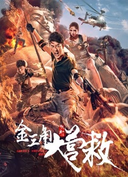 金三角大营救封面图