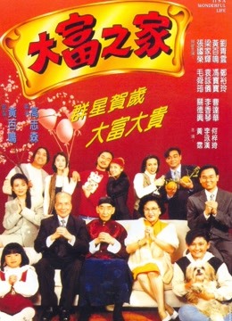 大富之家1994封面图