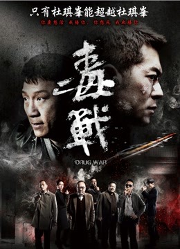 毒战封面图