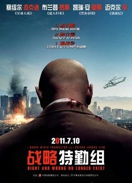 战略特勤组2010封面图