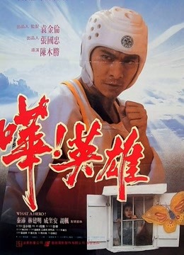 哗英雄封面图
