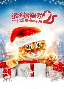 流浪猫鲍勃2:鲍勃的礼物封面图