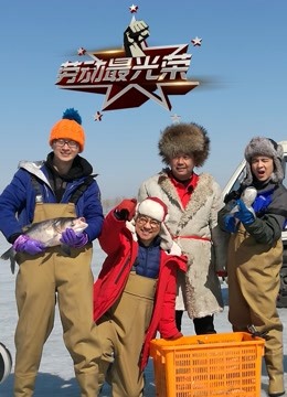 劳动最光荣封面图