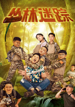 丛林迷踪封面图