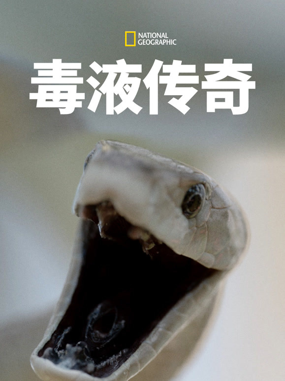 毒液传奇封面图