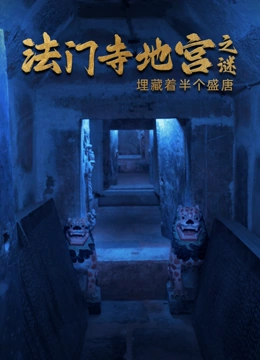 法门寺地宫之谜封面图
