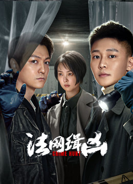 法网缉凶封面图