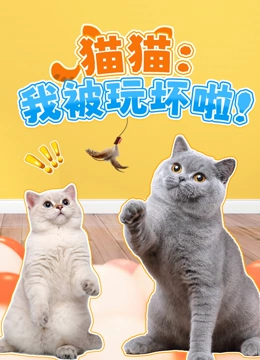 猫猫 我被玩坏啦封面图