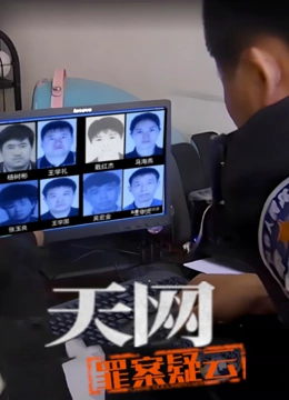 天网：罪案疑云封面图