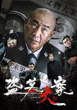 盗墓大案封面图