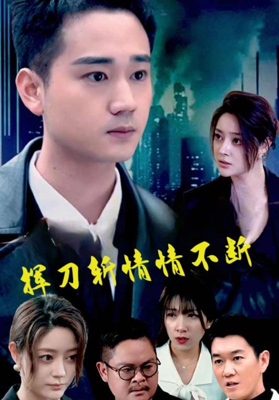 挥刀斩情情不断封面图
