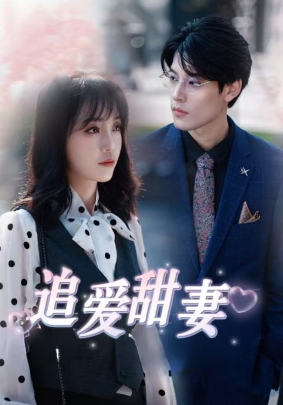 追爱甜妻封面图