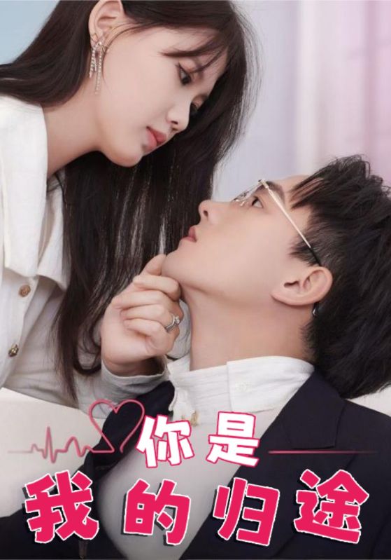 你是我的归途封面图