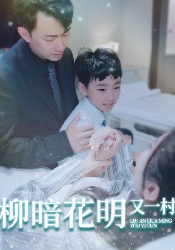 柳暗花明又一村封面图