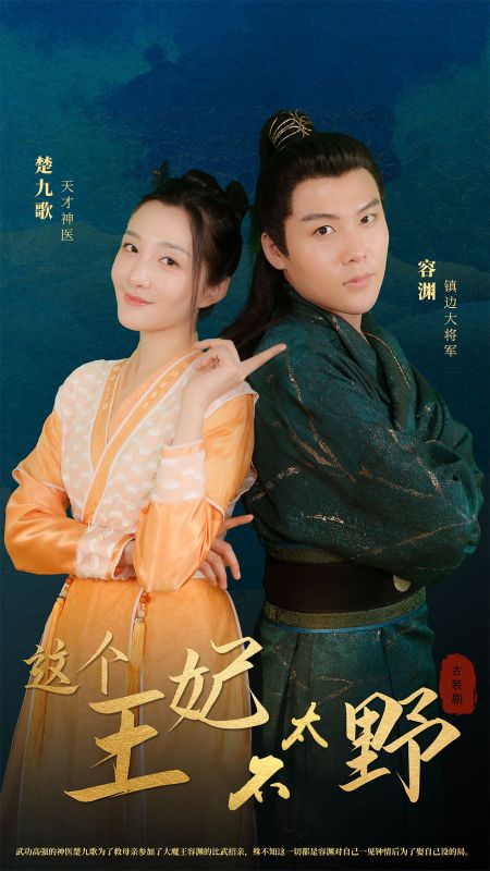 这个王妃不太野封面图