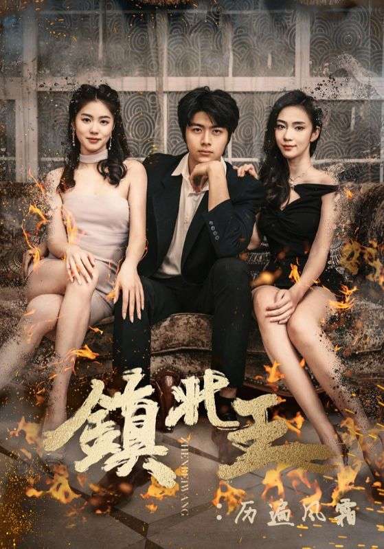 镇北王:历遍风霜封面图