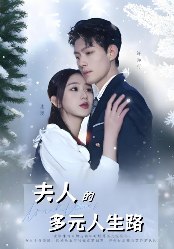 夫人的多元人生路封面图