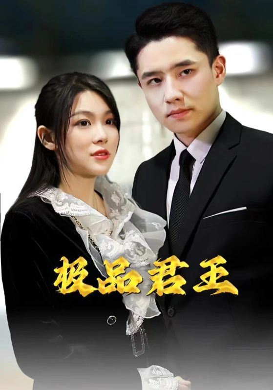 极品君王封面图