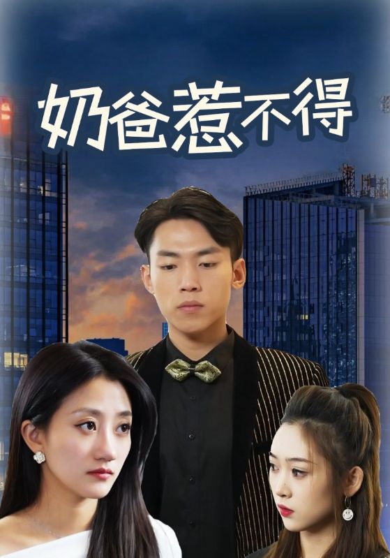奶爸惹不得封面图