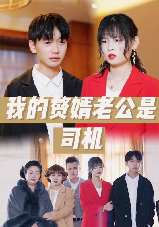 我的倒插门老公是司机封面图