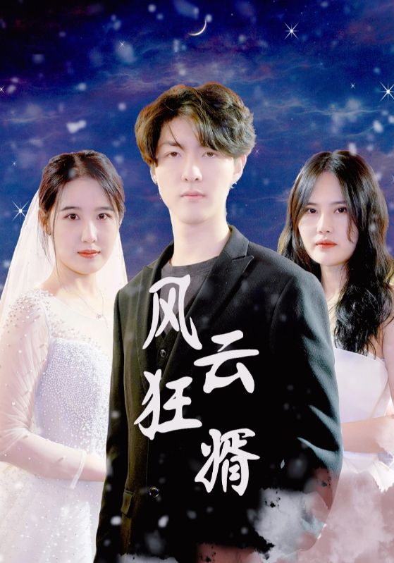 风云狂婿封面图