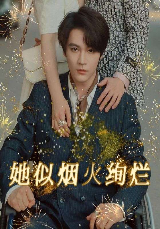 她似烟火绚烂封面图