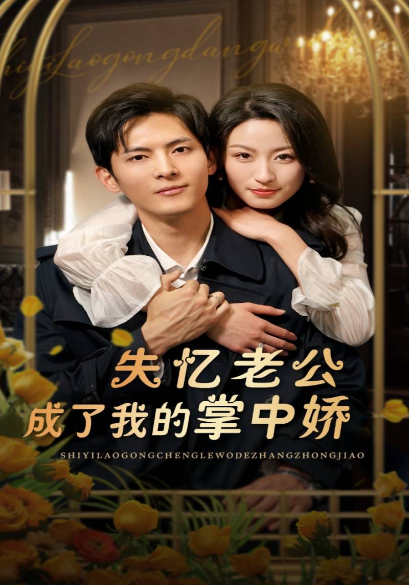 失忆老公成了我的掌中娇封面图