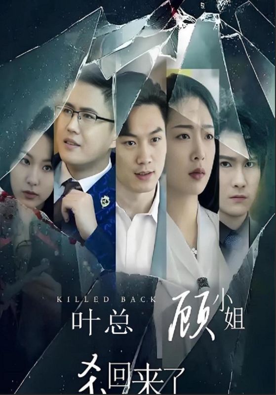叶总顾小姐杀回来了封面图