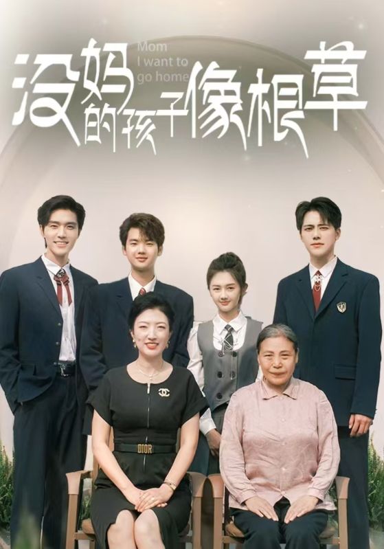 没妈的孩子像根草封面图