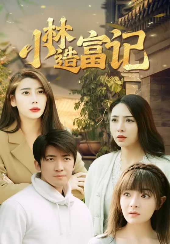 小林造富记封面图