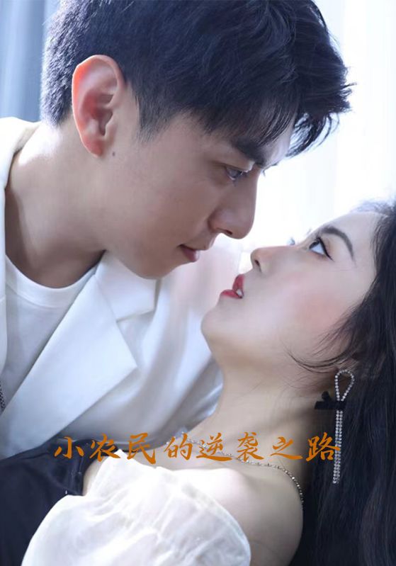 小农民的逆袭之路封面图