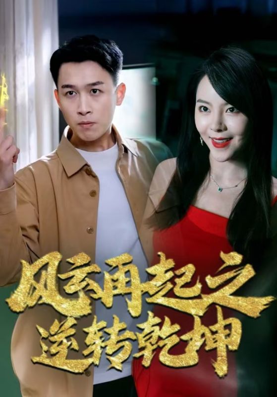 风云再起之逆转乾坤封面图