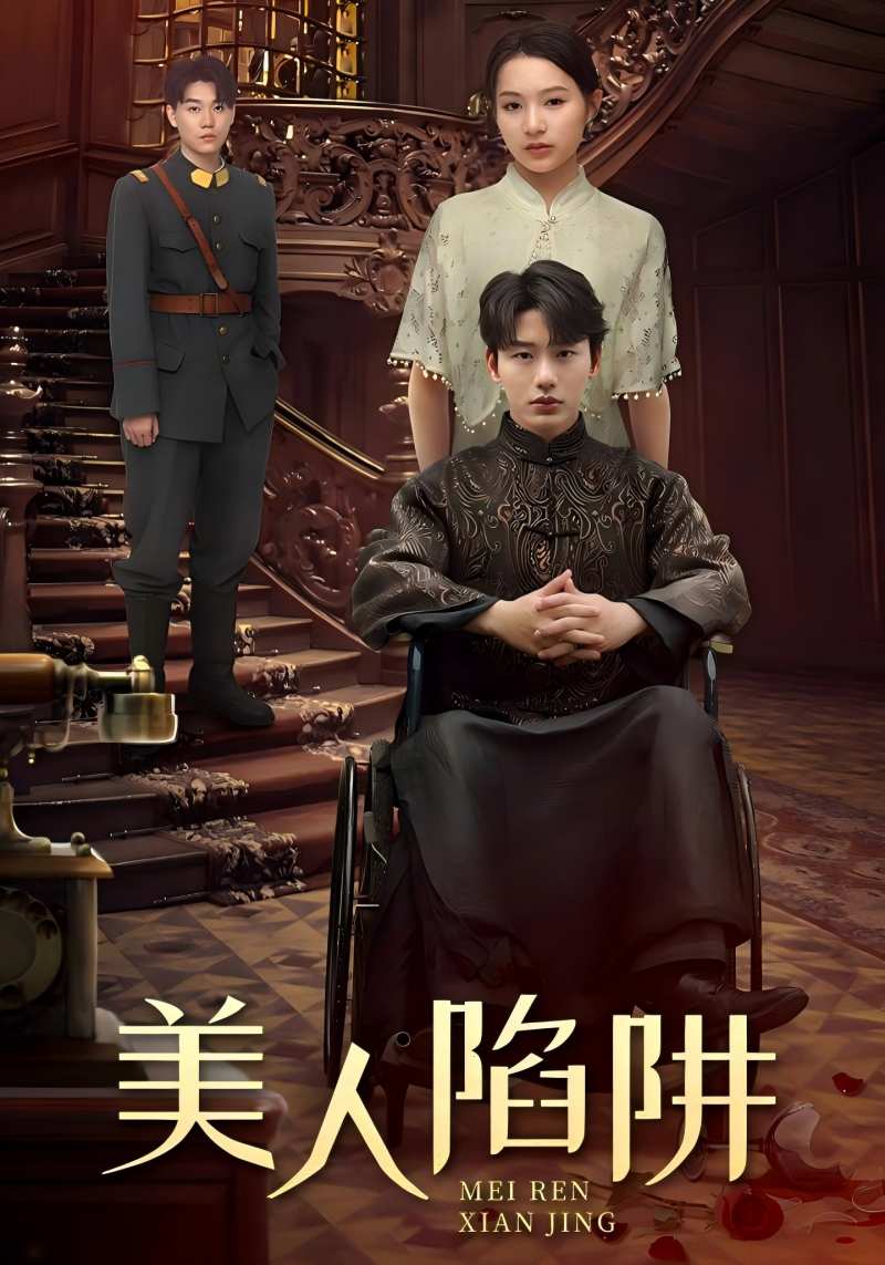 美人陷阱封面图