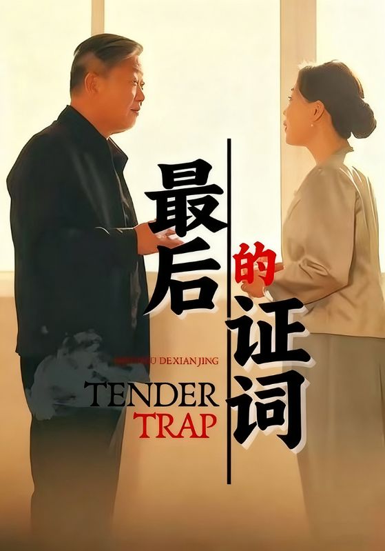 最后的证词封面图