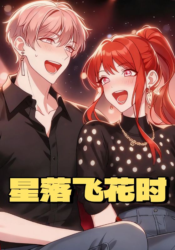 星落飞花时封面图
