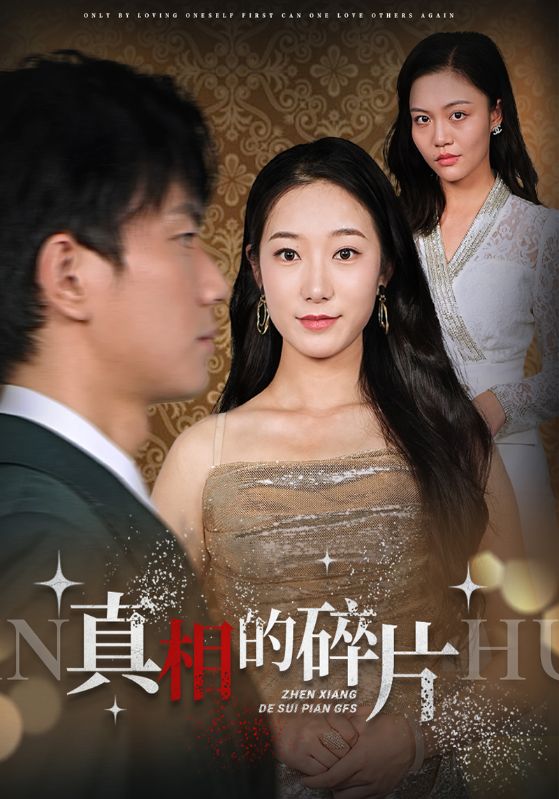 真相的碎片封面图