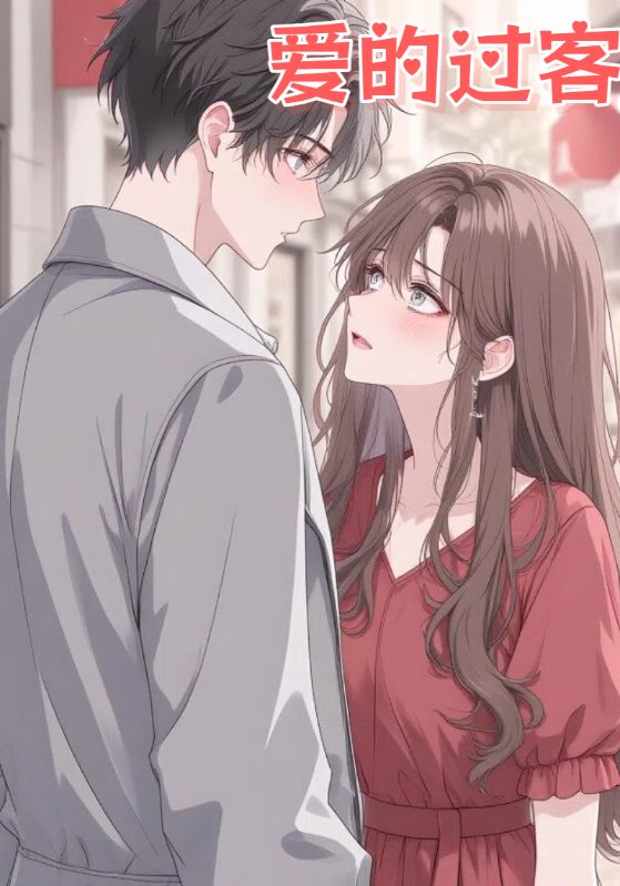 爱的过客封面图